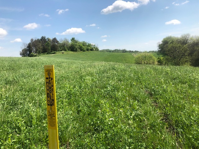 Restored right of way in Wayne Township, Harrison County